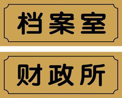 ˫ɫƷ8